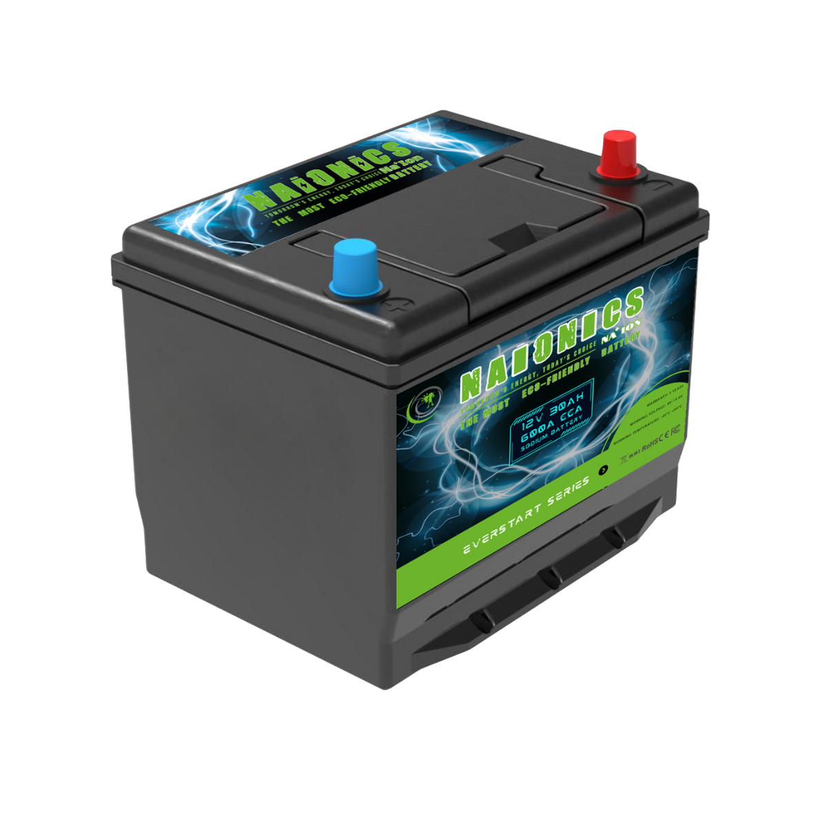 Batteria al Sodio 12V 30Ah EverStart Series NA1203003SN