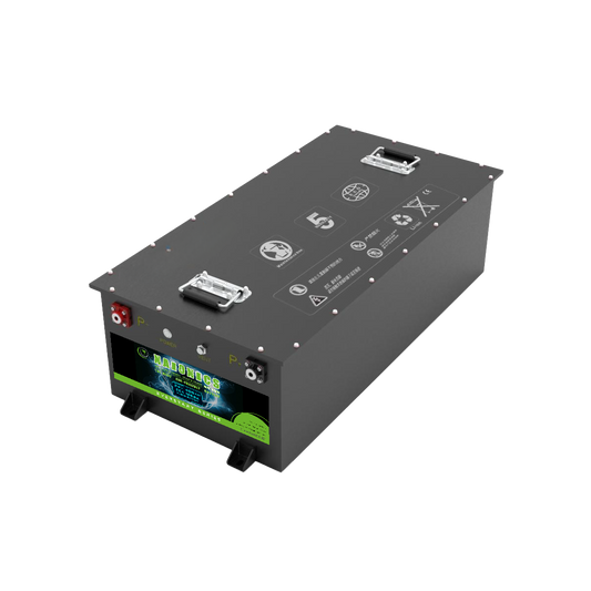 Batteria al Sodio 24V 400Ah EverStart Series NA2440001SN